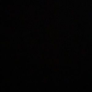 Meet your Posher, Lily